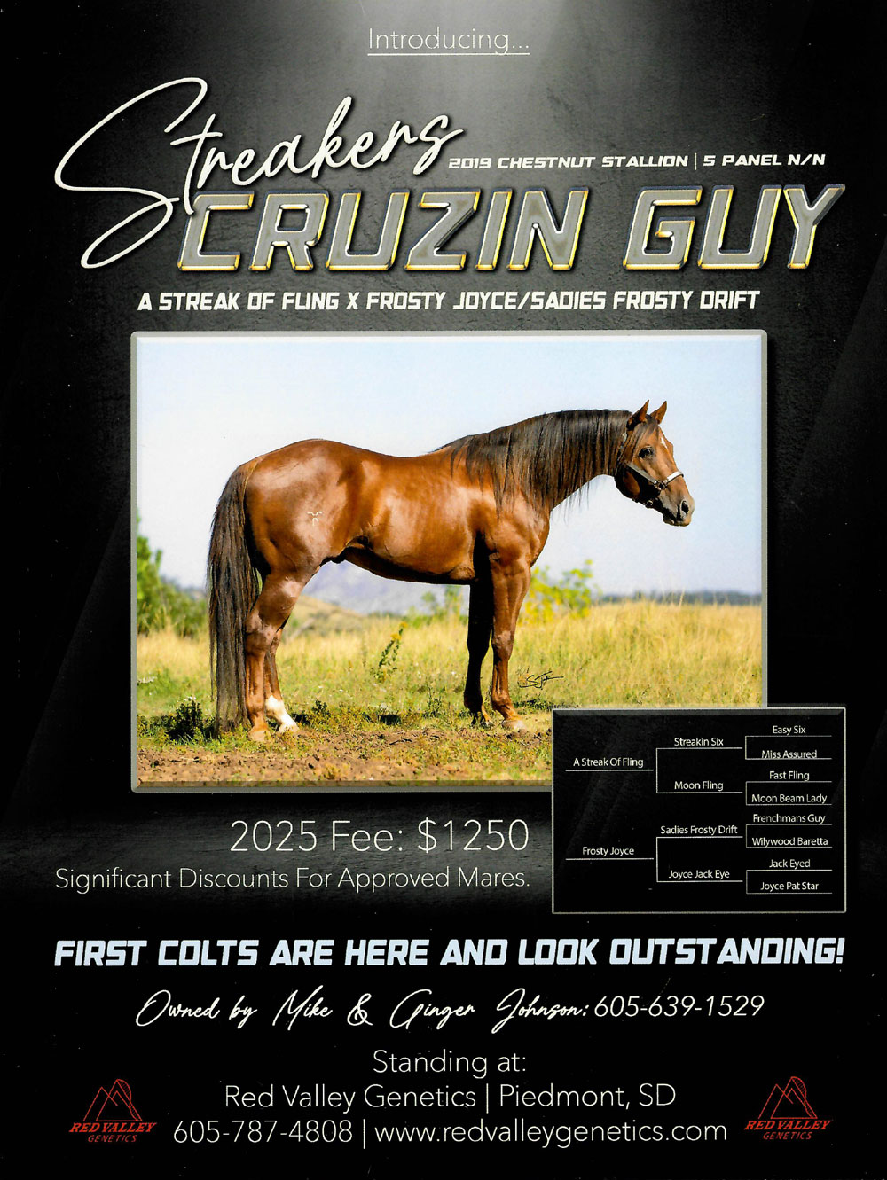 Streakers Cruzin Guy